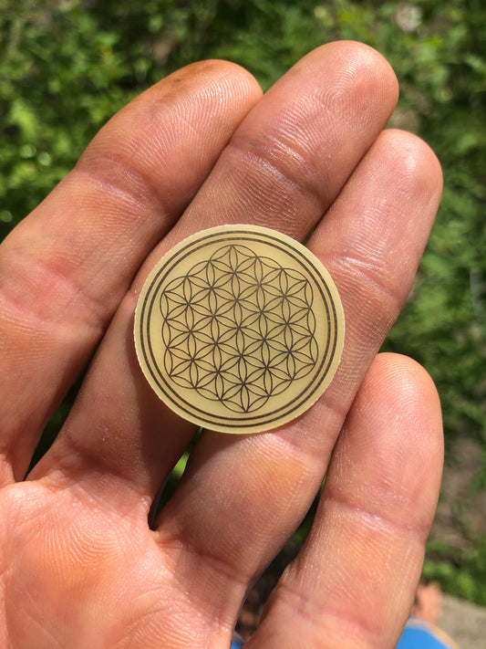 Flower of Life Gold Plated Scalar Plate (C111)